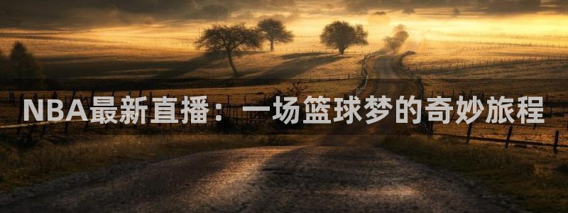 NBA最新直播：一场篮球梦的奇妙旅程