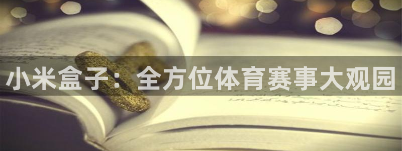 小米盒子：全方位体育赛事大观园