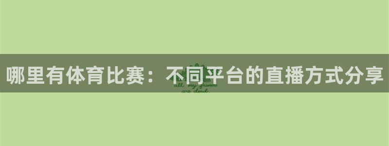 哪里有体育比赛：不同平台的直播方式分享