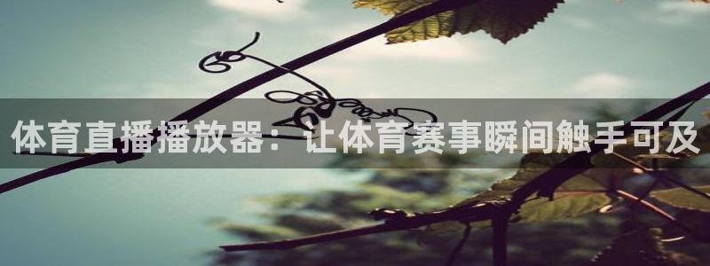 体育直播播放器：让体育赛事瞬间触手可及