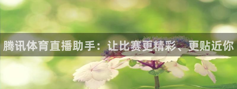 腾讯体育直播助手：让比赛更精彩、更贴近你