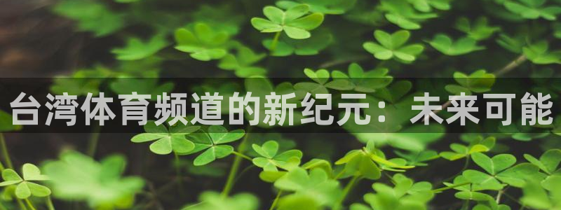 台湾体育频道的新纪元：未来可能