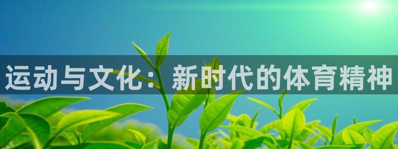 运动与文化：新时代的体育精神